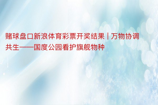 赌球盘口新浪体育彩票开奖结果 | 万物协调共生——国度公园看护旗舰物种