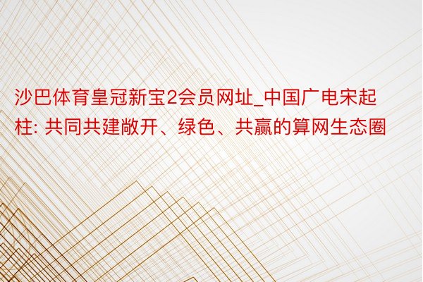 沙巴体育皇冠新宝2会员网址_中国广电宋起柱: 共同共建敞开、绿色、共赢的算网生态圈