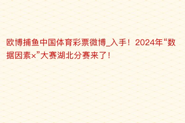 欧博捕鱼中国体育彩票微博_入手！2024年“数据因素×”大赛湖北分赛来了！